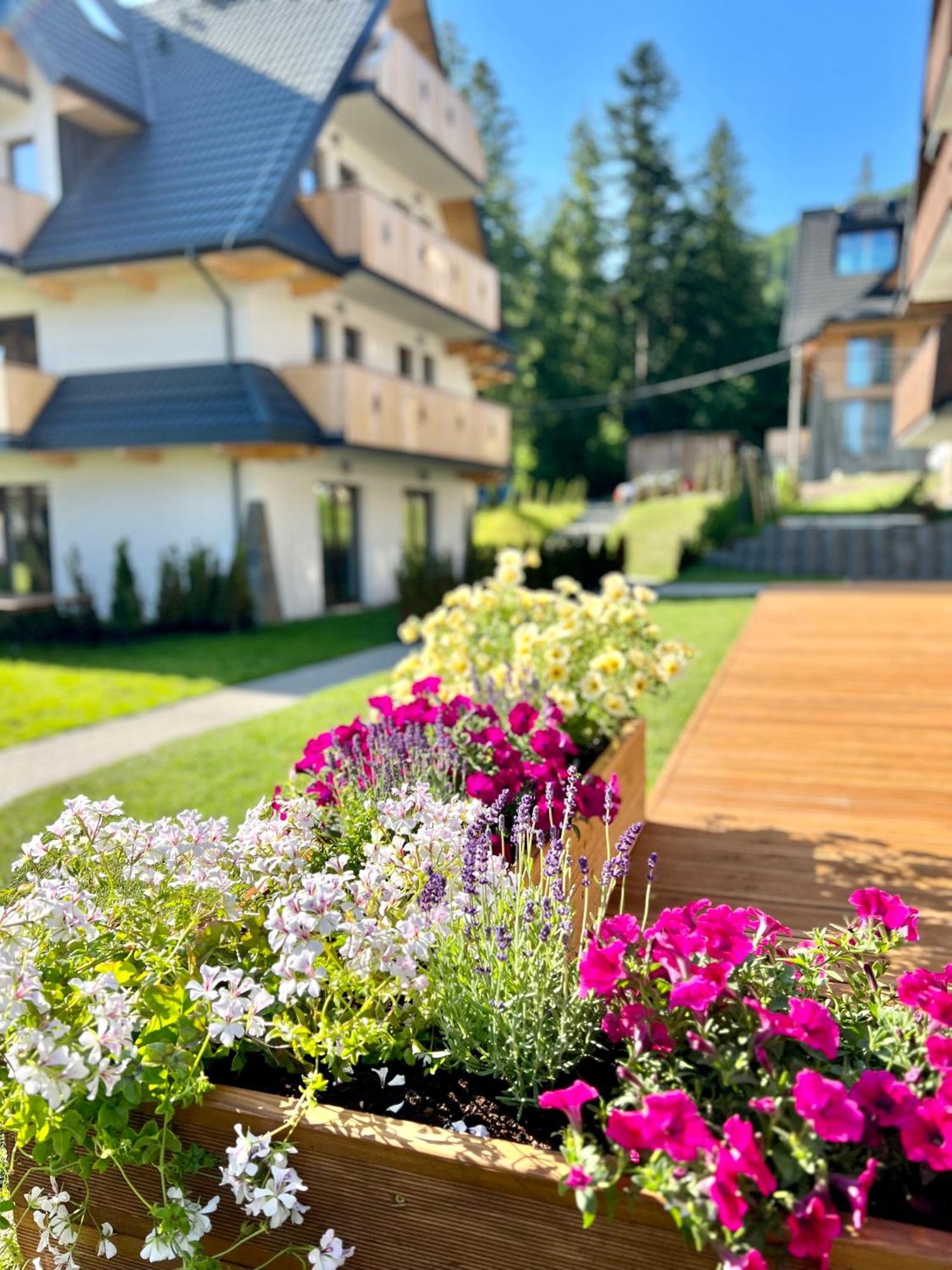 Nosal Ski & Wine Apartments 扎科帕内 外观 照片