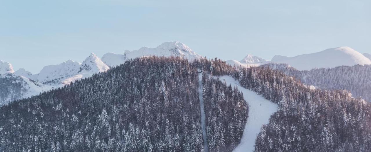 Nosal Ski & Wine Apartments 扎科帕内 外观 照片